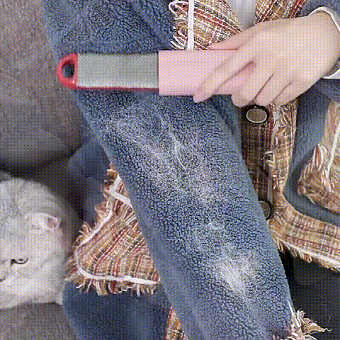 Electrostatic hair removal brush, vacuum cleaner, hair sticking