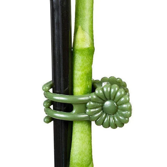 🔥Let the plant grow healthily - Plant Clips