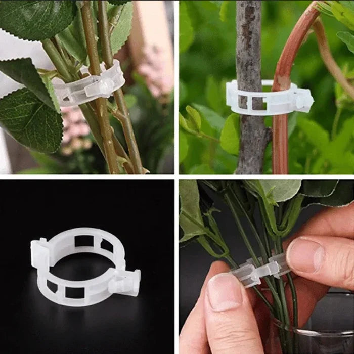 💥Plant Support Clips🌱