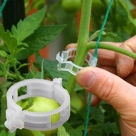 💥Plant Support Clips🌱