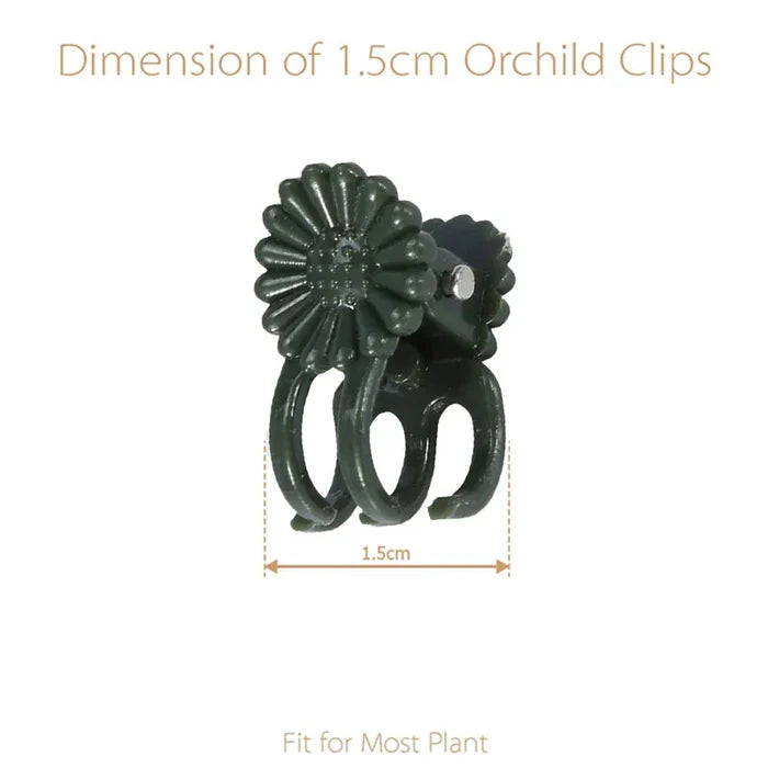 🔥Let the plant grow healthily - Plant Clips