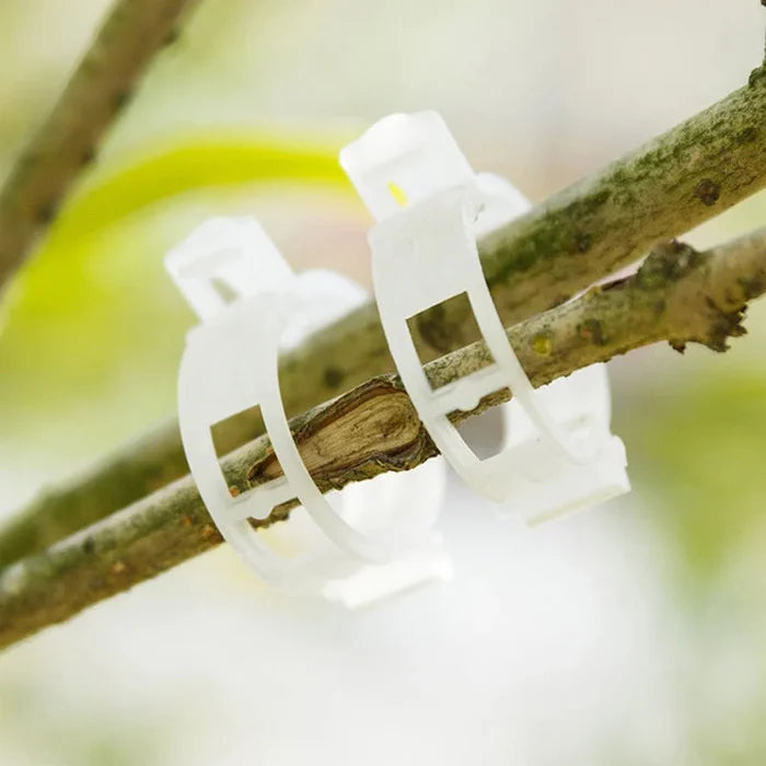💥Plant Support Clips🌱