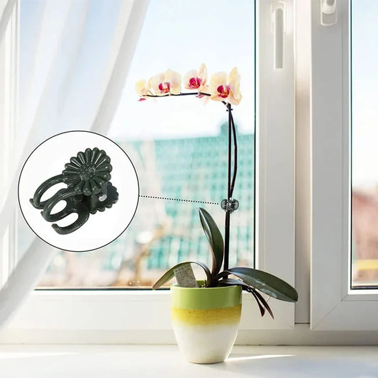 🔥Let the plant grow healthily - Plant Clips