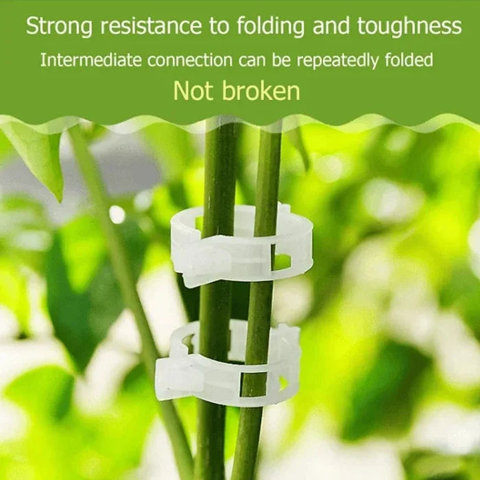 💥Plant Support Clips🌱