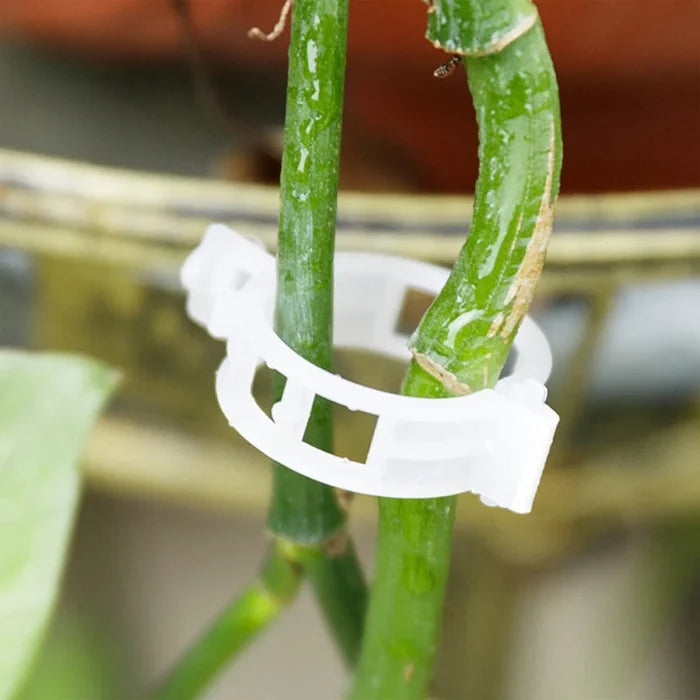 💥Plant Support Clips🌱