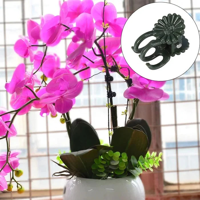 🔥Let the plant grow healthily - Plant Clips