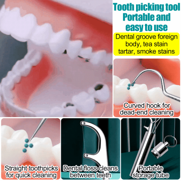 🔥2024 New Promotion✨304 Stainless Steel Toothpick Teeth Picking Tool