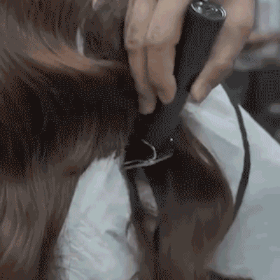 Electric Hair Clipper