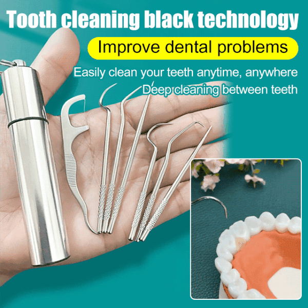 🔥2024 New Promotion✨304 Stainless Steel Toothpick Teeth Picking Tool