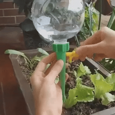 🔥Automatic drip irrigation device🔥