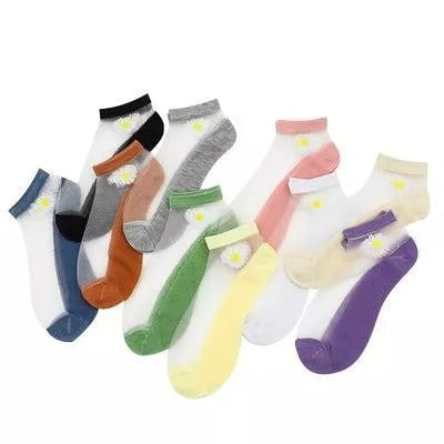 Translucent Daisy Socks(5Pairs/Pack)